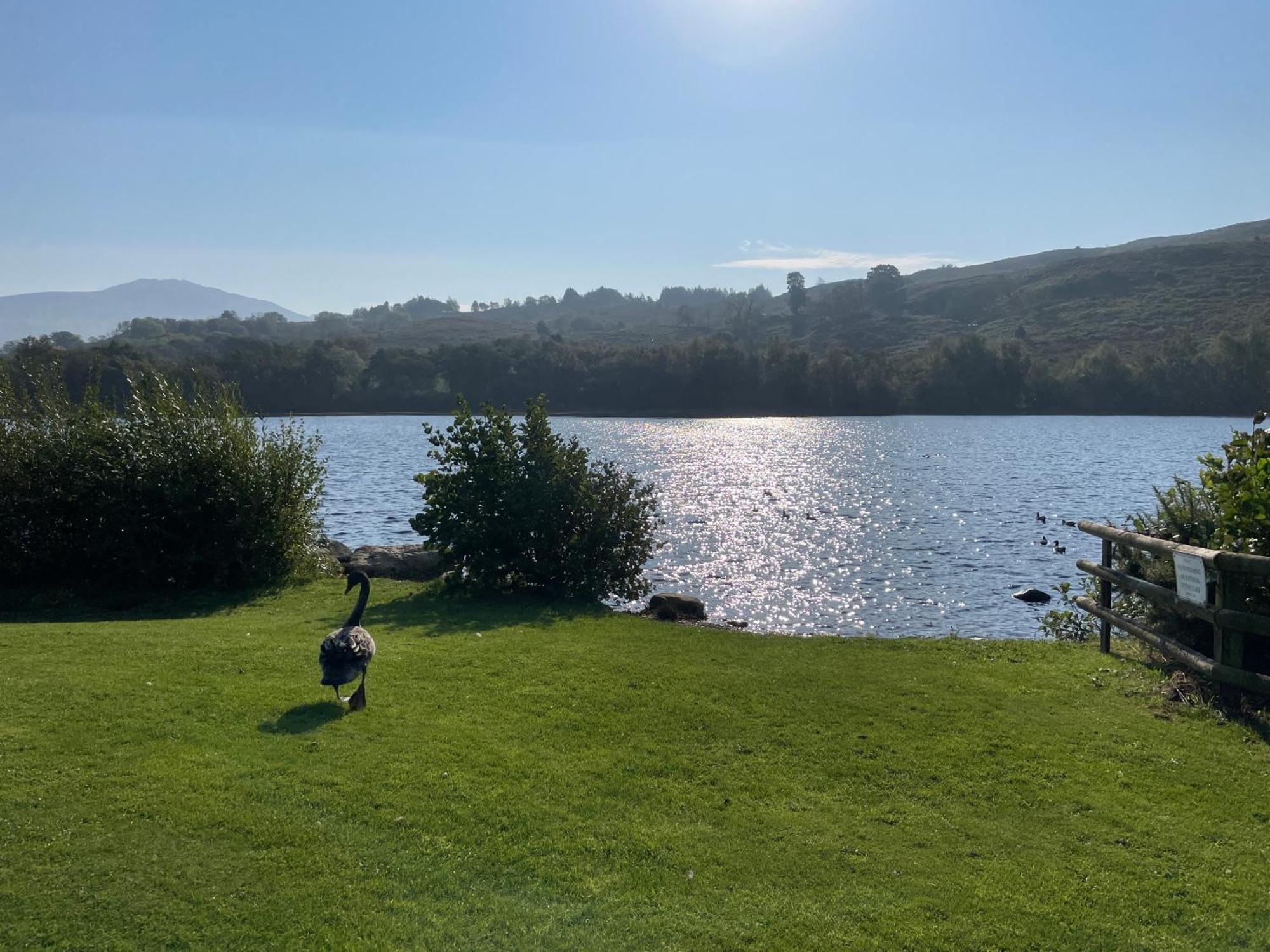 Willa No 61 Brynteg Country & Leisure Retreat Cwm-y-glo Zewnętrze zdjęcie
